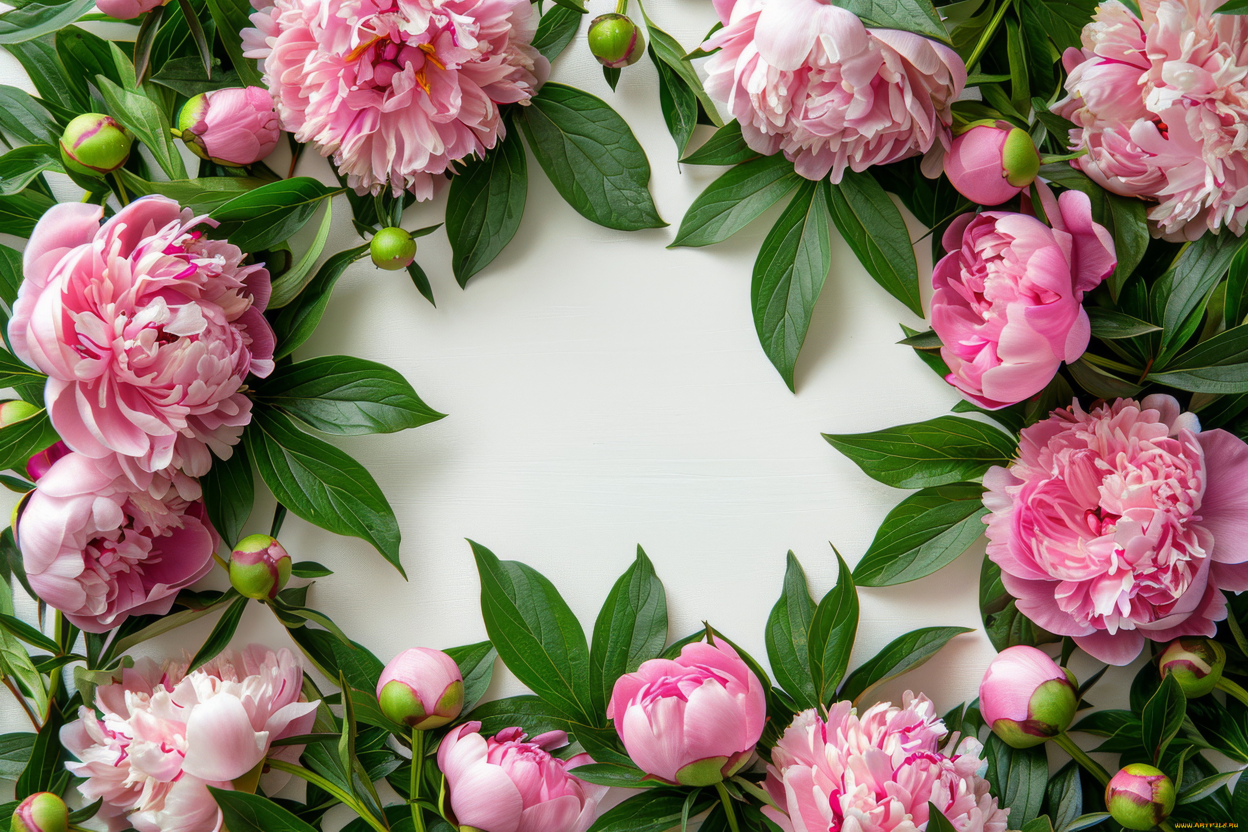 3 ,  , flowers, 